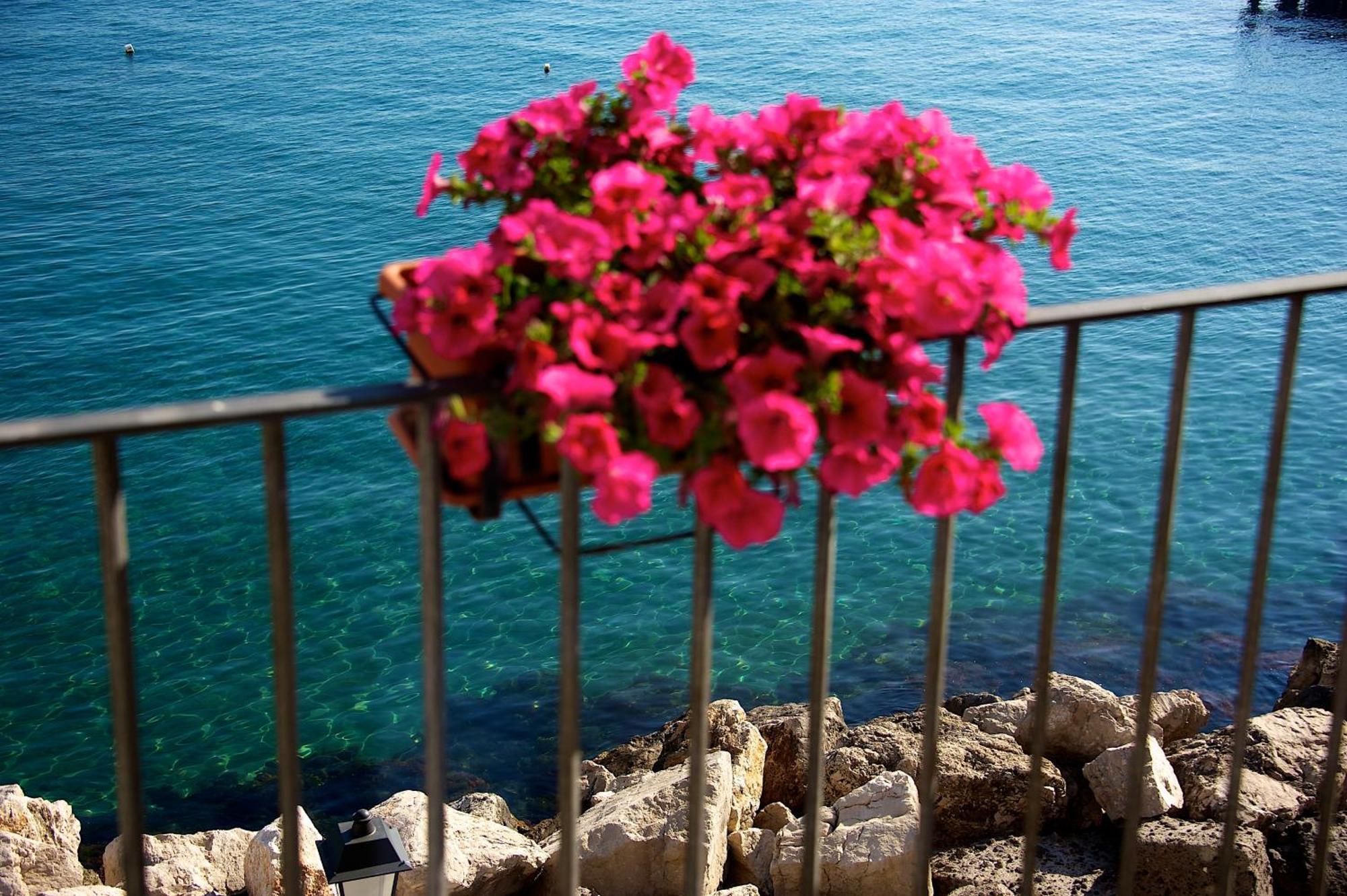Villa Lieta Ischia Ngoại thất bức ảnh